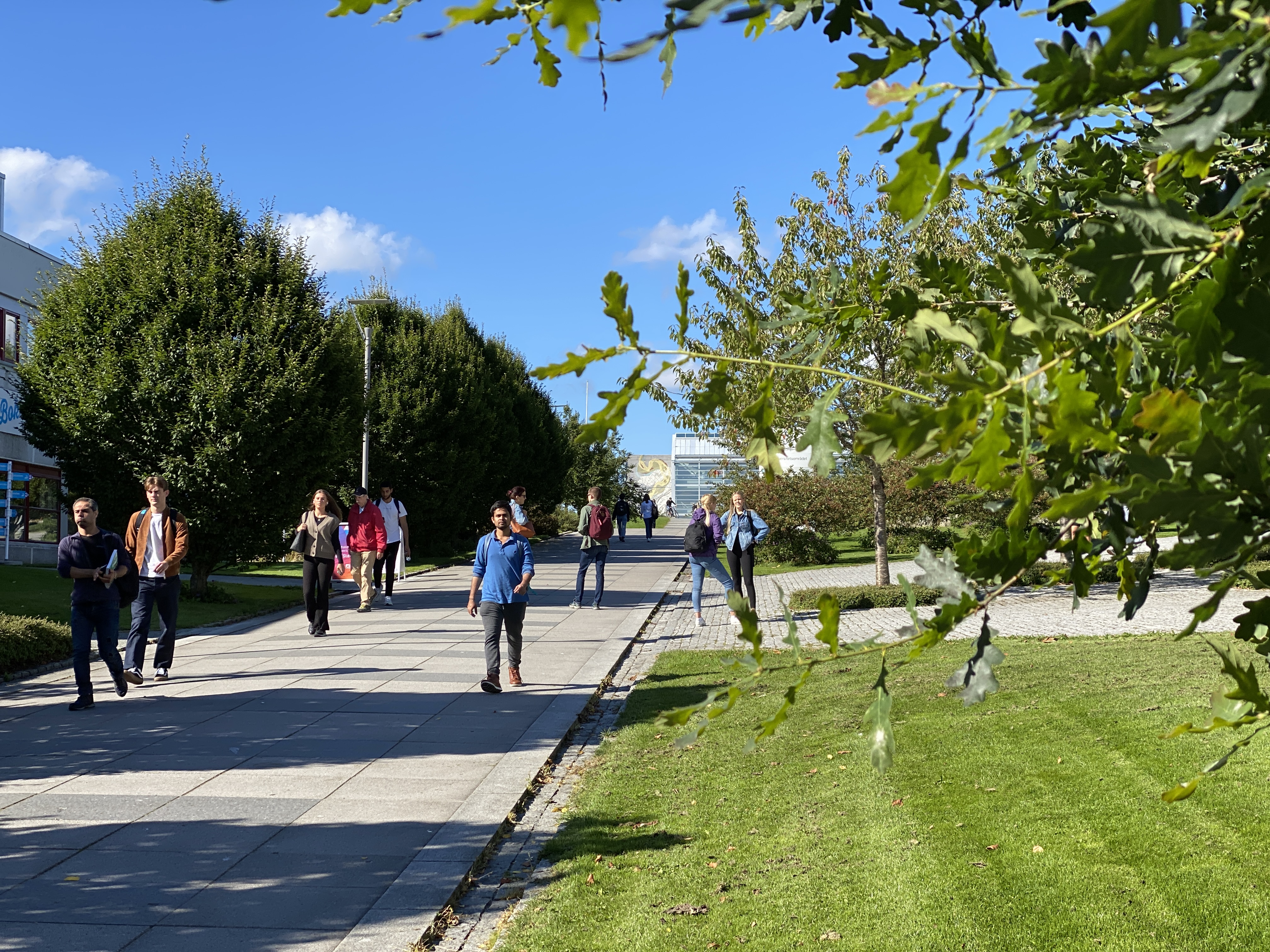 uteområde på ullandhaug