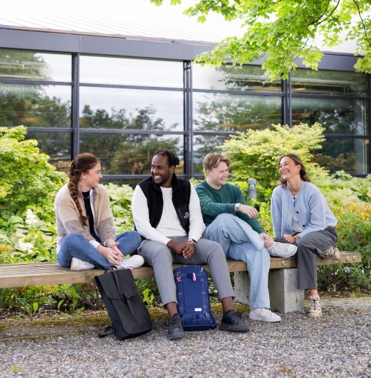 Fire studenter sitter på en benk ute