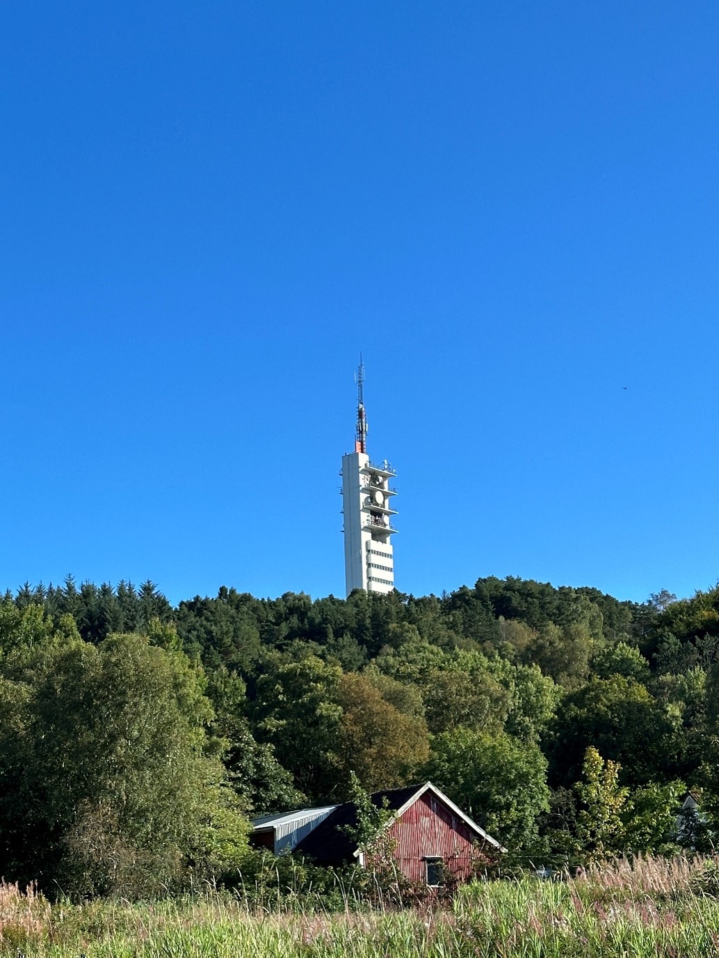 A bright blue sky over a forest landscape with a red, wooden house in the foreground. In the background, a concrete tower rises into the sky above the forest canopy