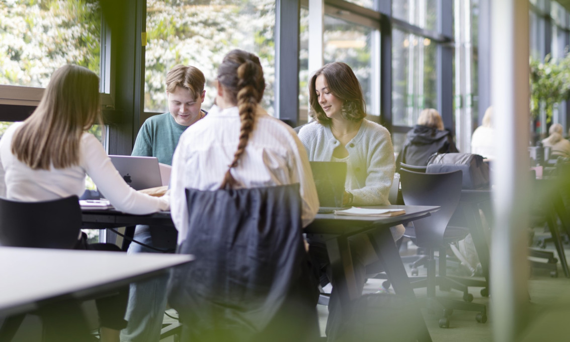 Hjelp med oppgaveskriving og referanser