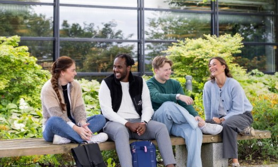 Fire studenter sitter på en benk ute