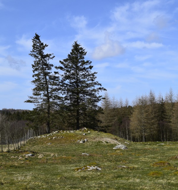 Kulturminnejakt på Myklebust i Sandnes