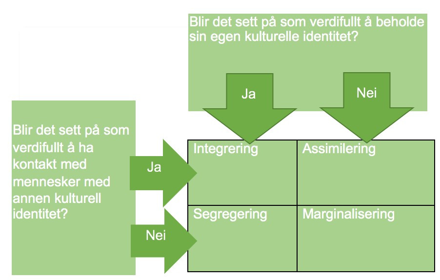 Illustrasjon av forskjellen på integrering, assimilering, segregering og marginalisering.